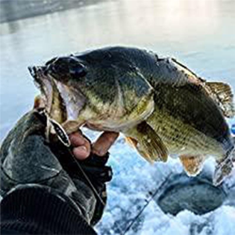 ABLB-カヤックボート用魚群探知機トランスデューサー ポー - Fish Finder Portable のレビューと価格